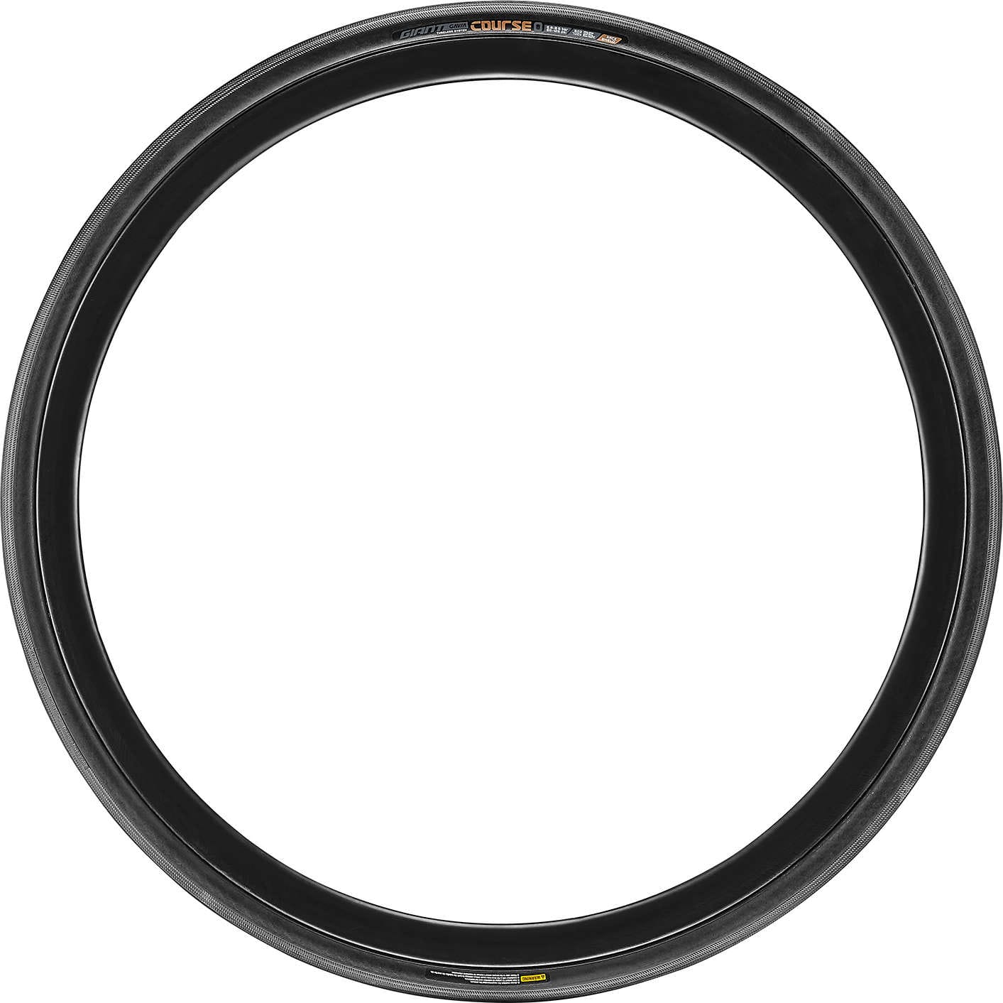 Giant gavia ac 0 2024 tubeless