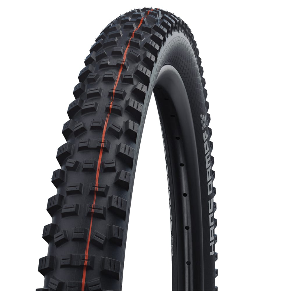 Schwalbe Hans Dampf Evo Super Trail 29