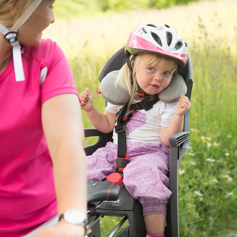 Pannier mounted best sale child seat