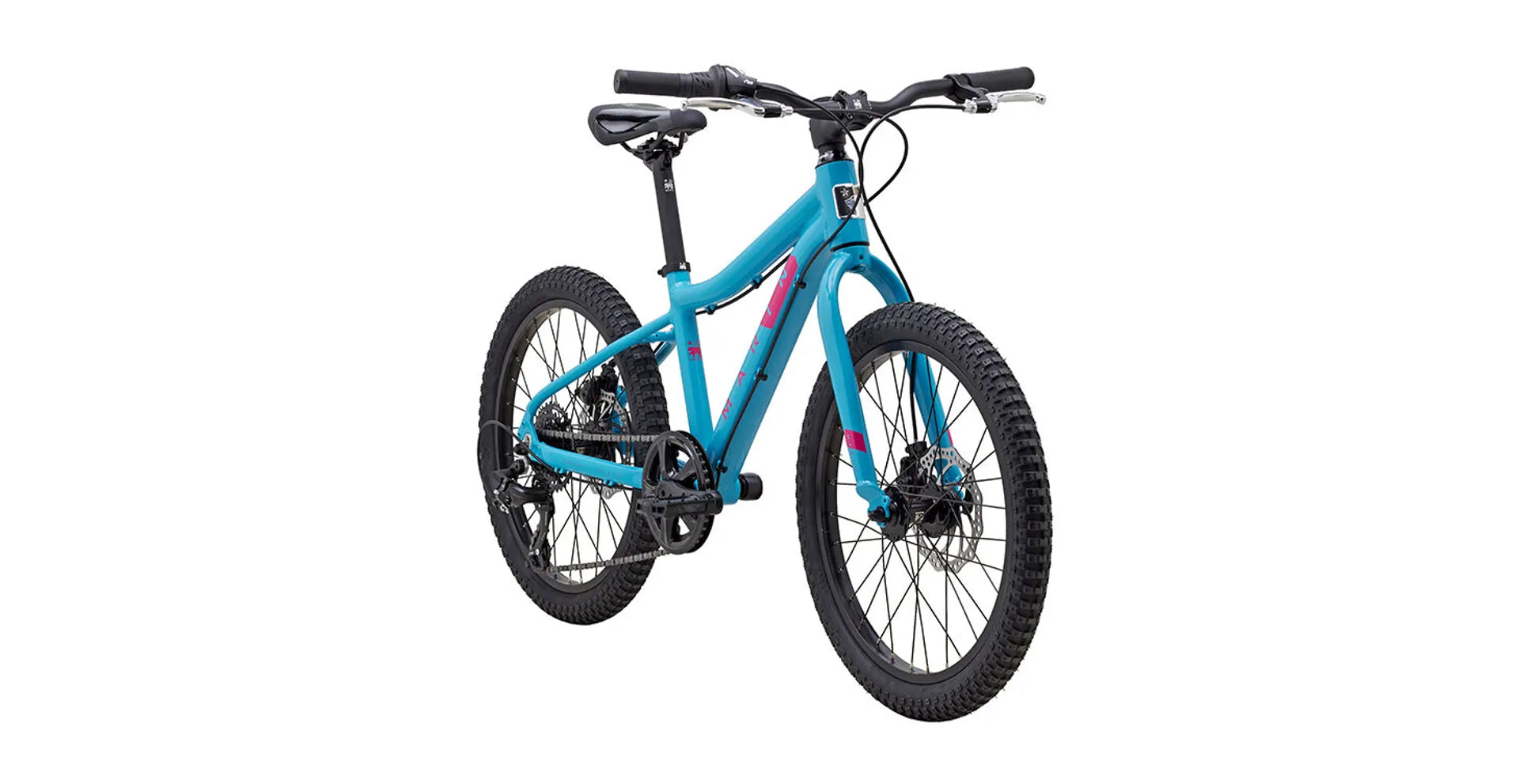 Teal and pink bike sale