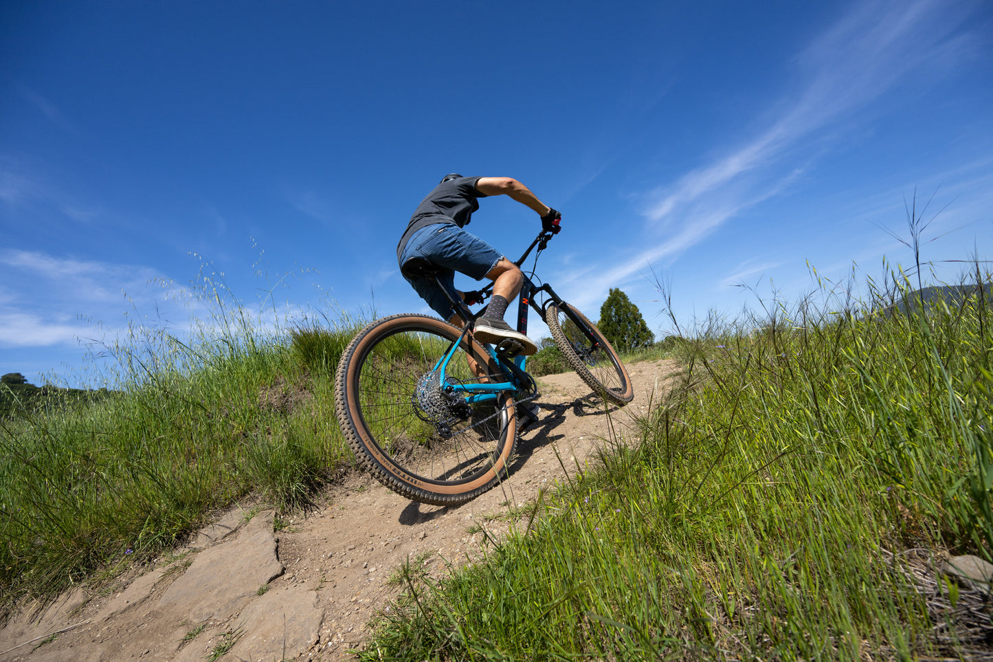 MARIN BOBCAT TRAIL 5 HARDTAIL MTB BIKE 2025 BLUE/BLACK