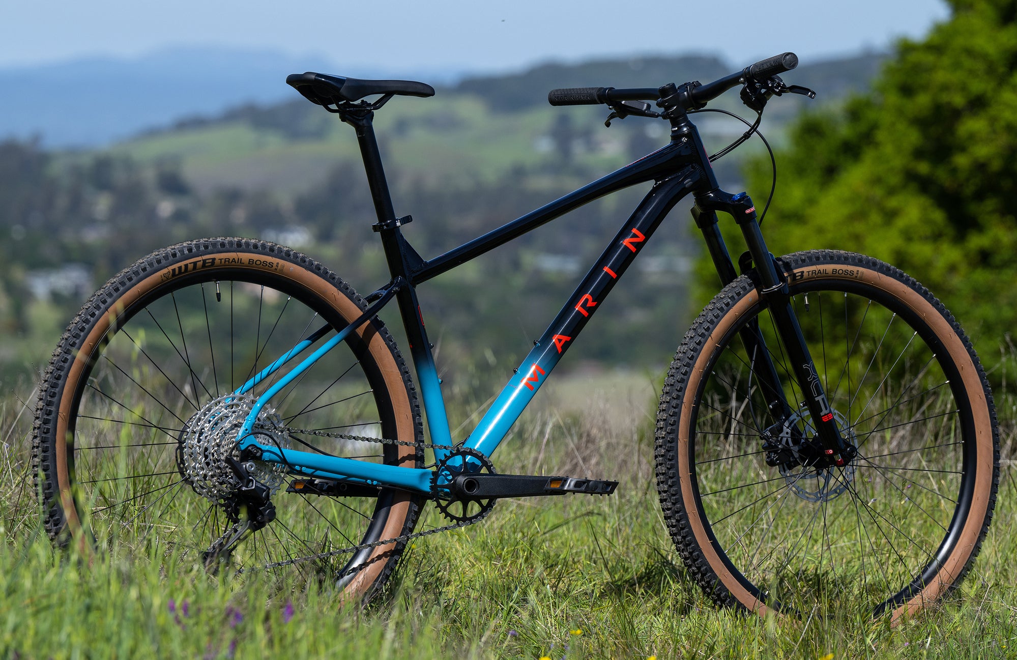 Marin bobcat trail 5 29 sale