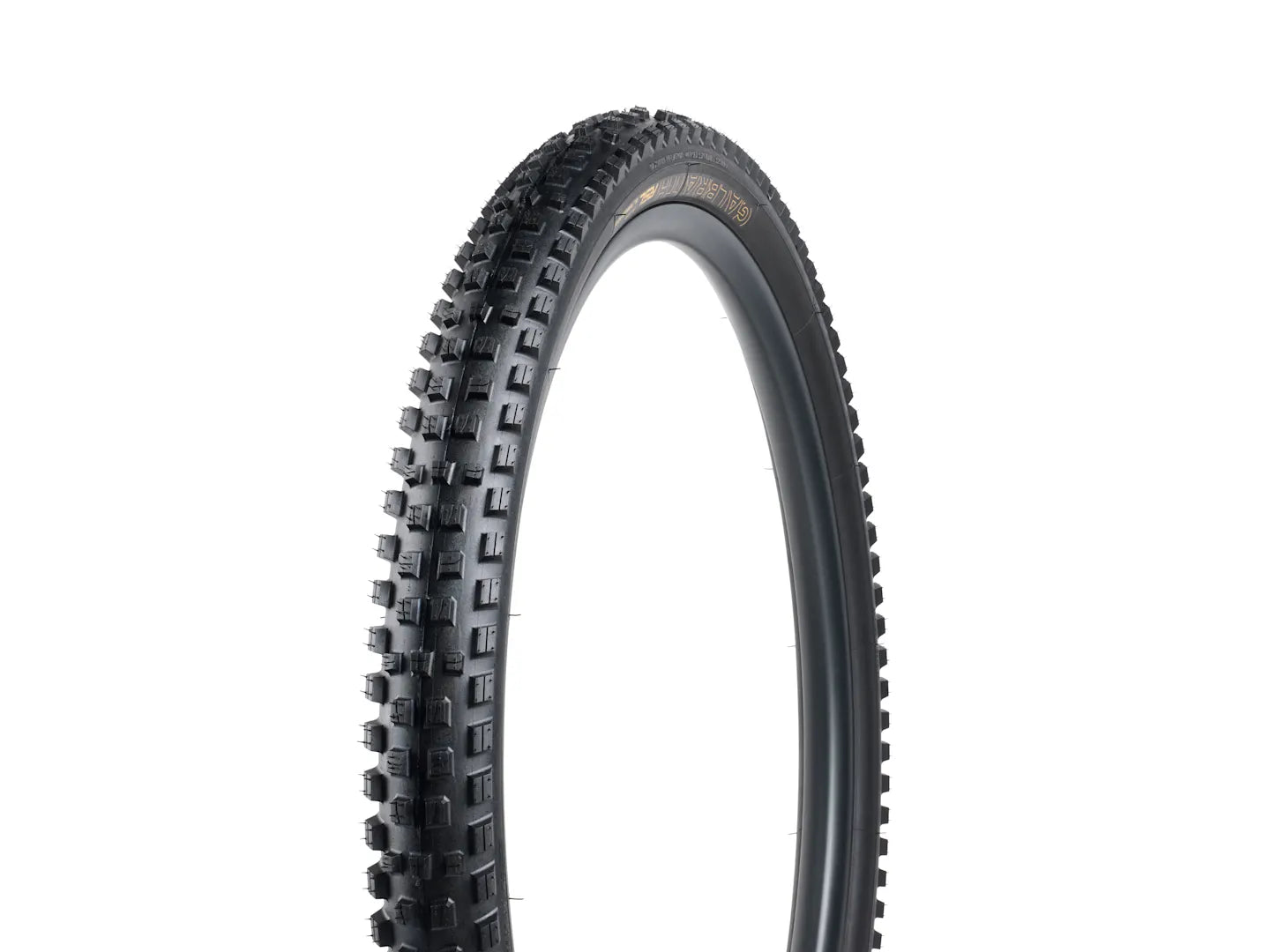 BONTRAGER GALBRAITH 29x2.50 RSL SE TLR MTB TYRE