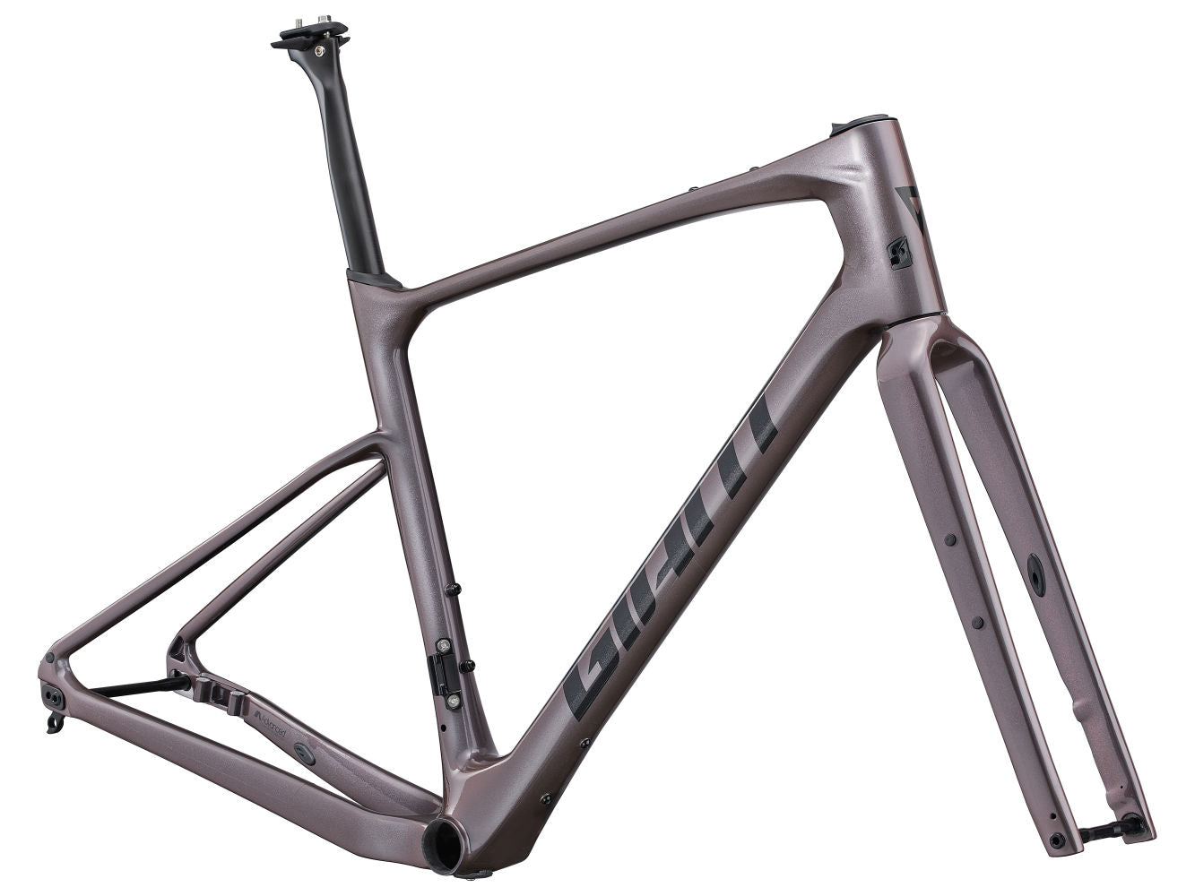 Giant tcr advanced online pro disc 2021 frameset