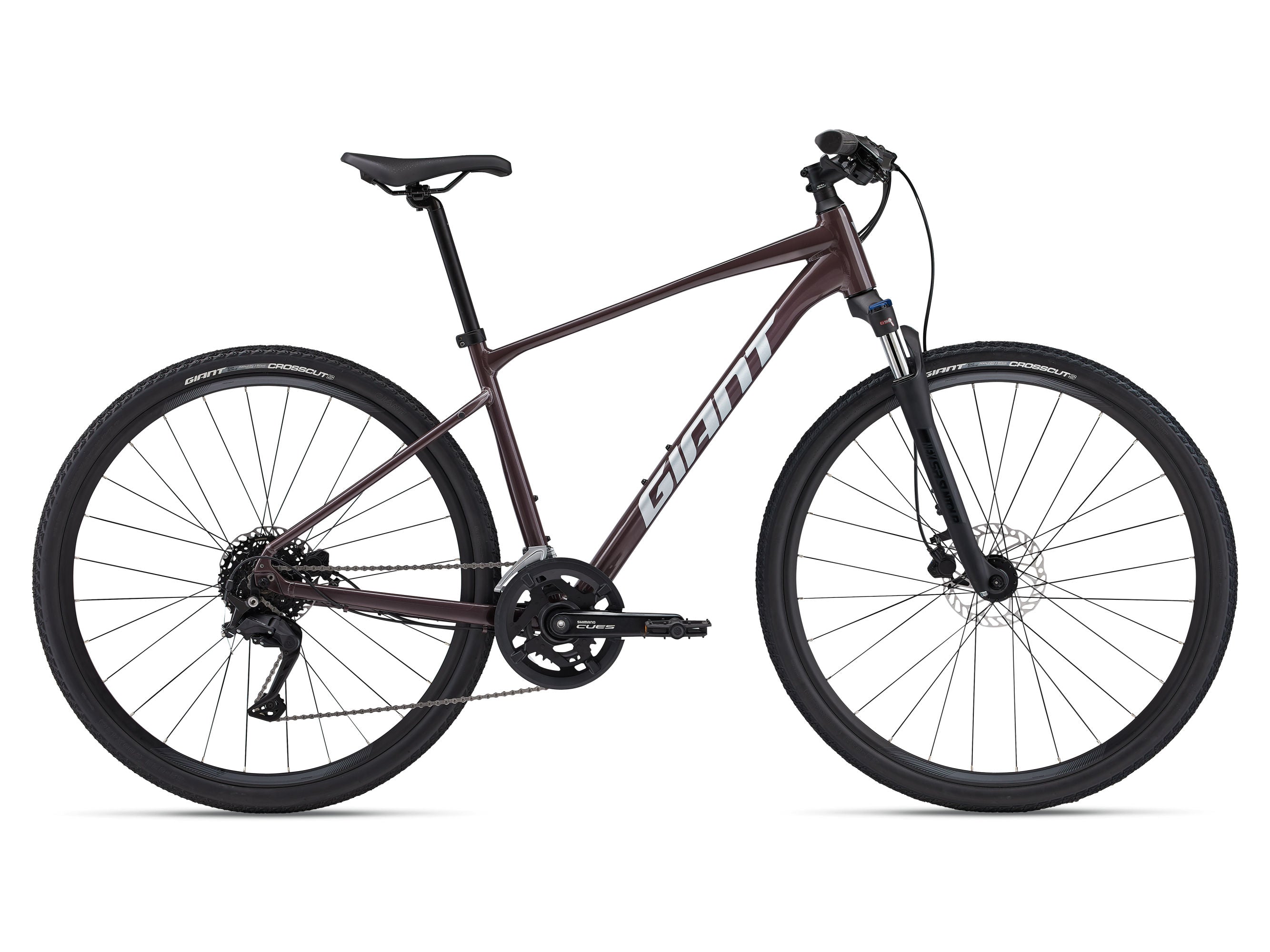 Giant Roam 2 Disc Hybrid Bike 2024 allterraincycles