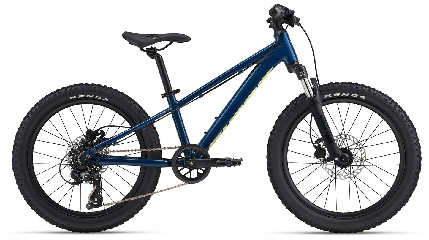 GIANT STP 20 KID'S BIKE 2024 BLUE PALACE