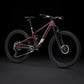 TREK TOP FUEL 9.9 XX AXS GEN 4 MTB BIKE 2025 AXINITE FLIP