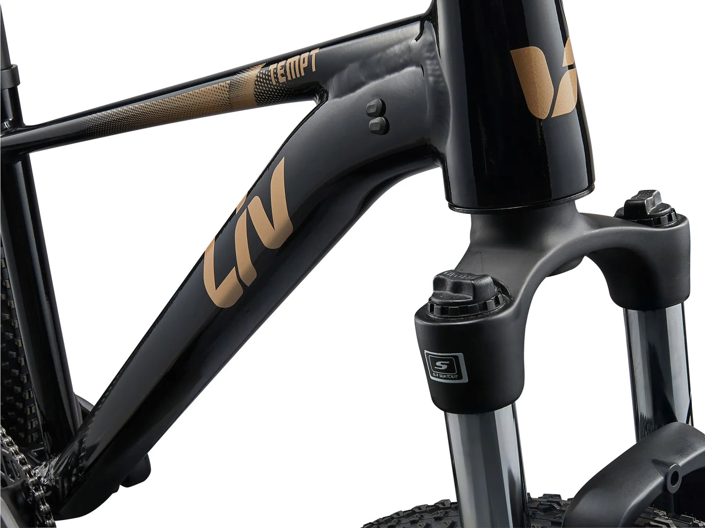 GIANT LIV TEMPT 4 HARDTAIL MTB BIKE 2025 GLOSS BLACK/GOLDEN WHEAT